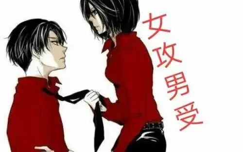 西檬之家Dom是什么意思 一