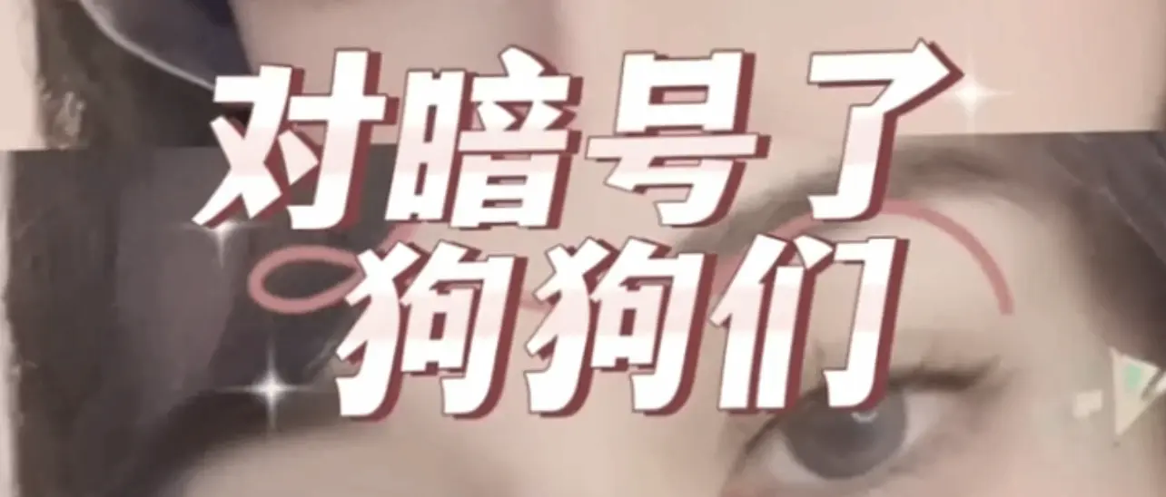 西檬之家Maso是什么意思?字母圈新人入圈指南 一