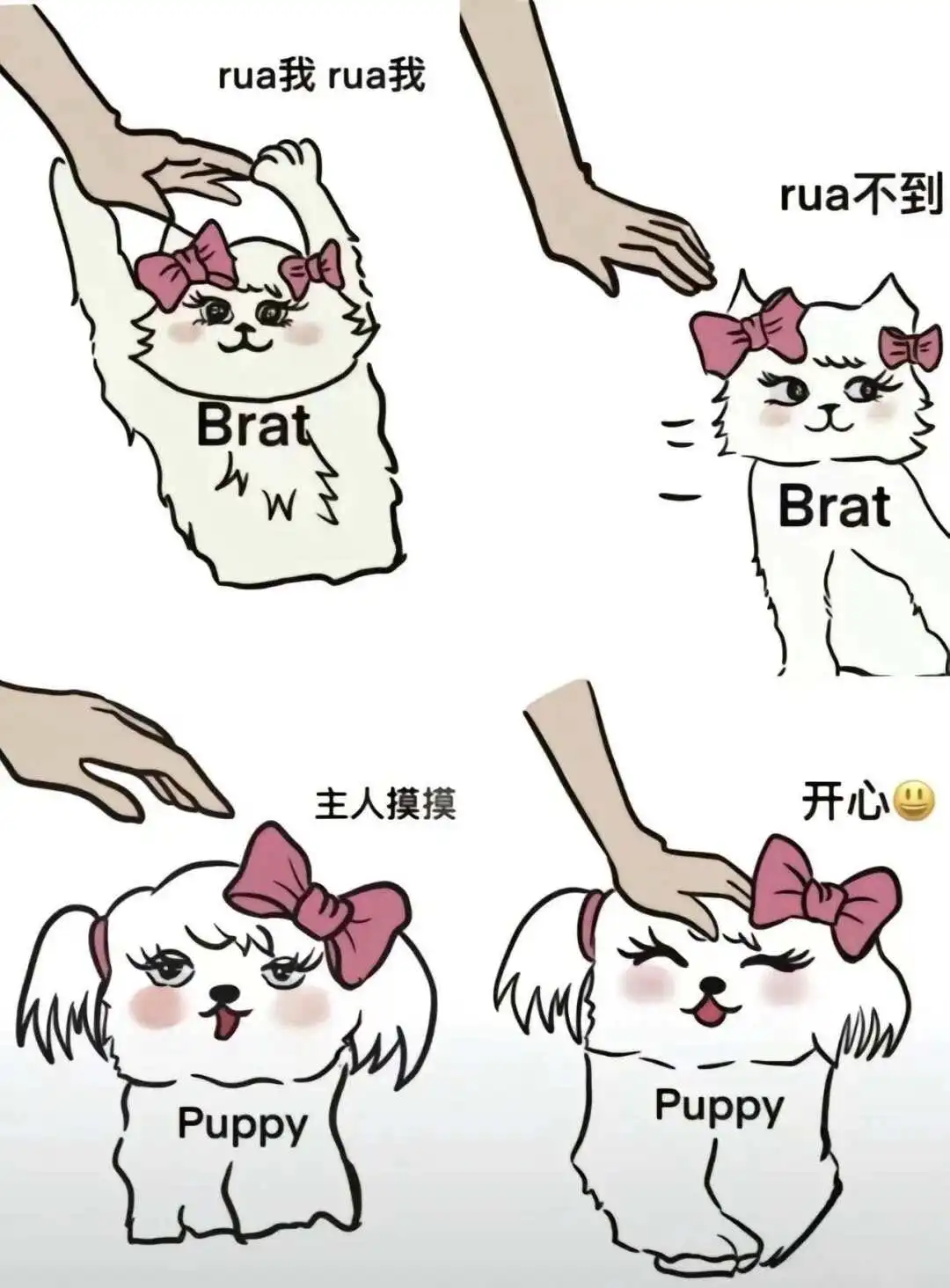 西檬之家字母圈中的M是什么意思? 一
