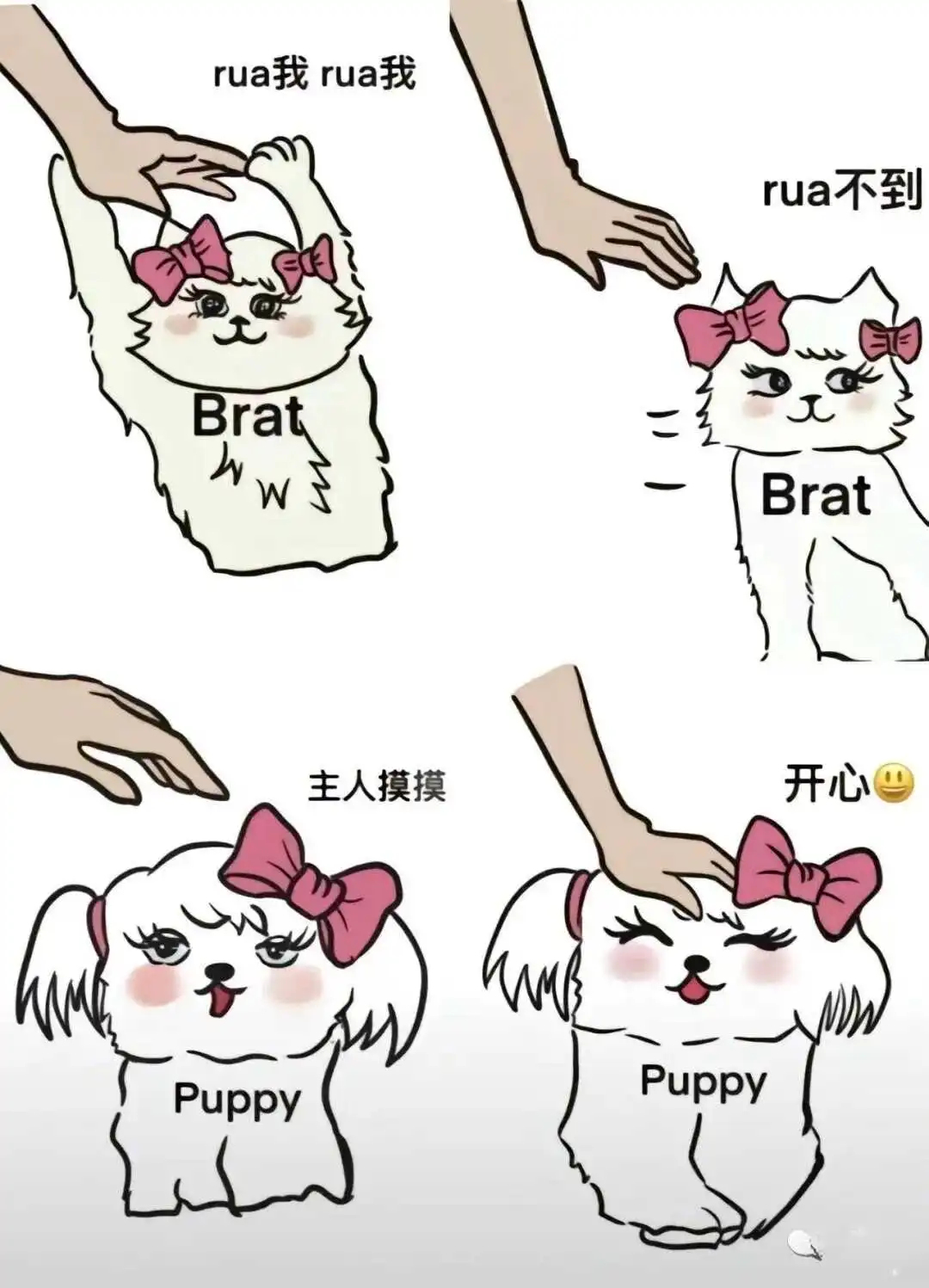 西檬之家字母圈的Sado是什么意思? 一