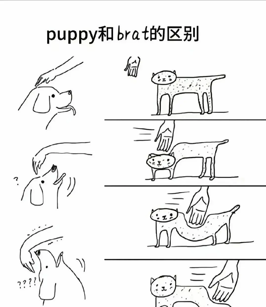 西檬之家Sado是什么?字母圈入门必备 一