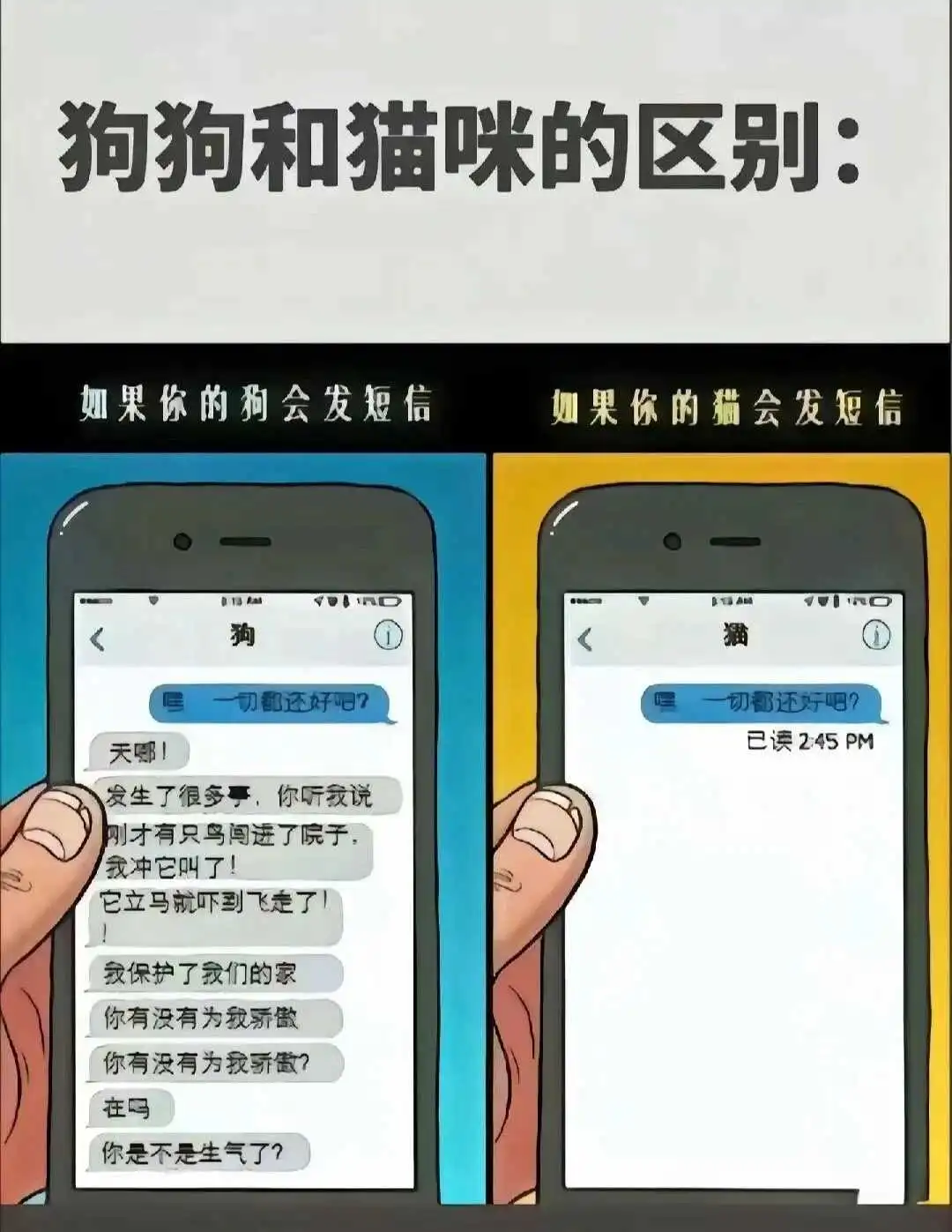 西檬之家Maso是什么意思?字母圈新人必读 一