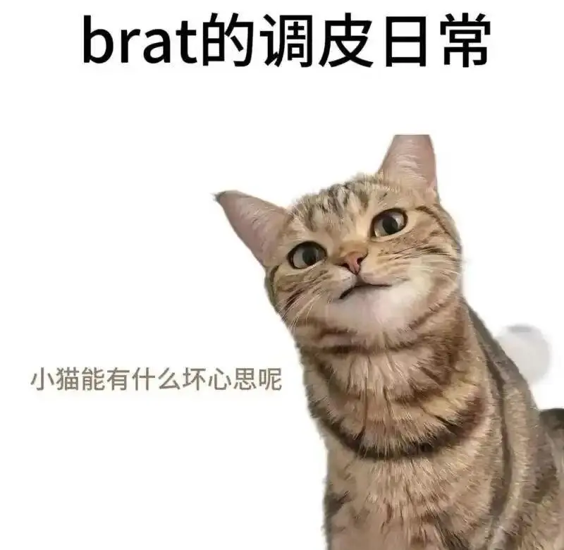 西檬之家字母圈的RACK原则是什么? 一