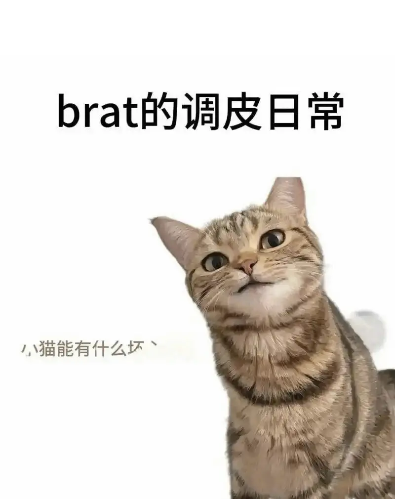 西檬之家Maso是什么意思?字母圈新人必看 一