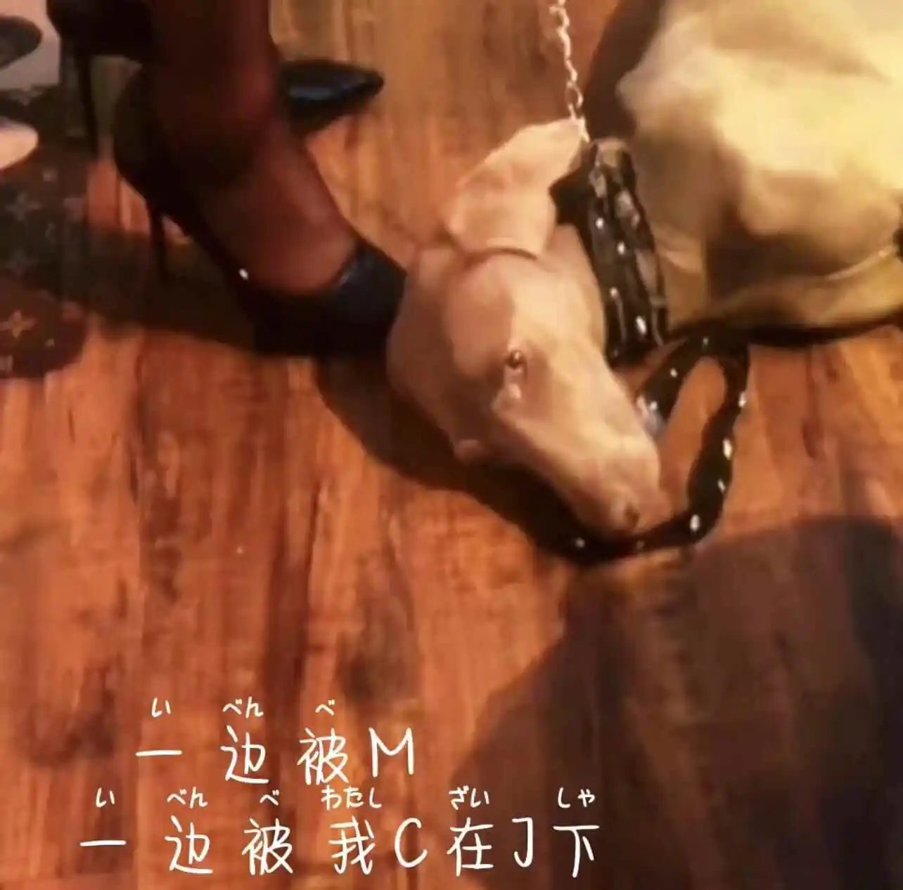 西檬之家字母圈SM入门指南 一